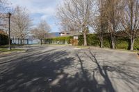 an empty street surrounded by trees near the shore line and lake in the distance from it to the park