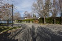 an empty street surrounded by trees near the shore line and lake in the distance from it to the park