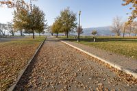 Kelowna, British Columbia: Tree-Lined Road 001