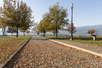 Kelowna, British Columbia: Tree-lined Road