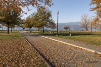 walkway beside the lake in the park with lots of leaves on the ground and street