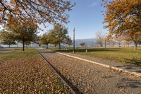 walkway beside the lake in the park with lots of leaves on the ground and street