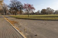 Kelowna City Park: Vibrant Fall Colors in Canada