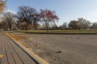 Kelowna City Park: Vibrant Fall Colors in Canada