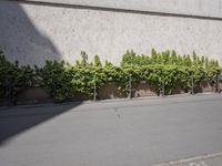 Kreuzberg Berlin on a Sunny Day in the City 001