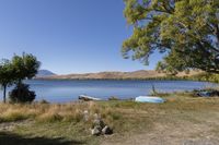 a body of water near a tree and rocks in the grass with a boat on it