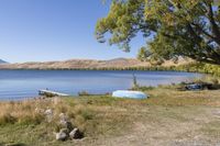 a body of water near a tree and rocks in the grass with a boat on it