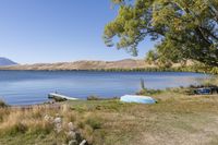 a body of water near a tree and rocks in the grass with a boat on it