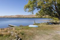 a body of water near a tree and rocks in the grass with a boat on it