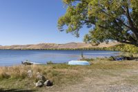 a body of water near a tree and rocks in the grass with a boat on it