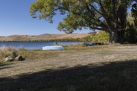 a body of water near a tree and rocks in the grass with a boat on it