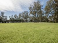 grassy area near a lake with trees, blue sky and a few clouds above and the water