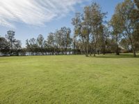 grassy area near a lake with trees, blue sky and a few clouds above and the water