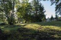 Lake Landscape in Canada: Bathed in Sunlight