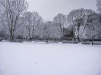 a couple of houses are covered in snow while two trees stand in the distance,