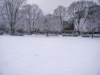 a couple of houses are covered in snow while two trees stand in the distance,