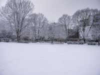 a couple of houses are covered in snow while two trees stand in the distance,