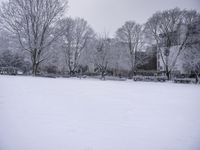 a couple of houses are covered in snow while two trees stand in the distance,