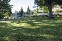 Lake View in Canada: A Nature's Landscape