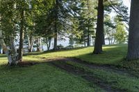 Lake View: Nature Park in Toronto, Canada