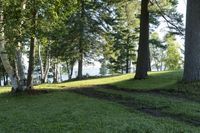 Lake View: Nature Park in Toronto, Canada