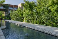 Lake View Resort in Mexico with Clear Sky and Vegetation