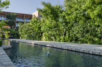 Lake View Resort in Mexico with Clear Sky and Vegetation