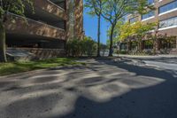 a couple of tall buildings next to trees on a street corner that is empty of pedestrians