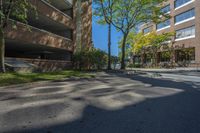 a couple of tall buildings next to trees on a street corner that is empty of pedestrians