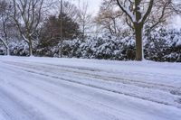 a person on skis riding along a snow covered road while on the ground are trees