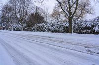 a person on skis riding along a snow covered road while on the ground are trees