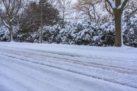 a person on skis riding along a snow covered road while on the ground are trees