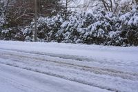 a person on skis riding along a snow covered road while on the ground are trees