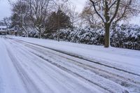 a person on skis riding along a snow covered road while on the ground are trees