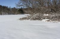 there is a patch of brush on the grass in the snow covered field on the edge of a field