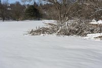 there is a patch of brush on the grass in the snow covered field on the edge of a field