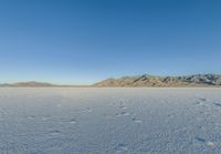 the lone man is walking across a salt plain in winter time in the desert with mountains in the distance