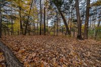 Landscape scene in Ontario, Canada