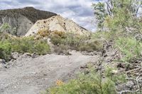 Tabernas Desert Landscape in Spain