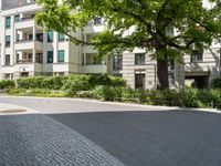 a tree on a sidewalk near some buildings and a person on a skateboard in front of them