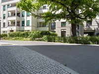 a tree on a sidewalk near some buildings and a person on a skateboard in front of them