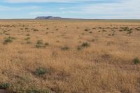 Landscape of Utah's San Rafael Swell with Red Rocks and Open Grass Field