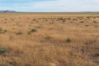 Landscape of Utah's San Rafael Swell with Red Rocks and Open Grass Field