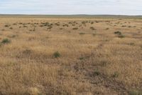 Landscape of Utah's San Rafael Swell with Red Rocks and Open Grass Field