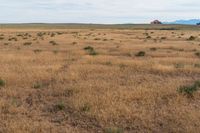 Landscape of Utah's San Rafael Swell with Red Rocks and Open Grass Field