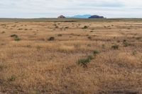 Landscape of Utah's San Rafael Swell with Red Rocks and Open Grass Field