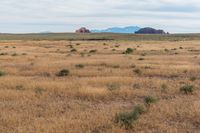 Landscape of Utah's San Rafael Swell with Red Rocks and Open Grass Field