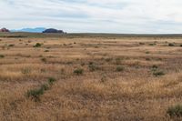 Landscape of Utah's San Rafael Swell with Red Rocks and Open Grass Field