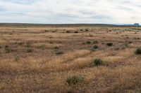 Landscape of Utah's San Rafael Swell with Red Rocks and Open Grass Field