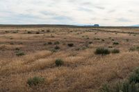 Landscape of Utah's San Rafael Swell with Red Rocks and Open Grass Field